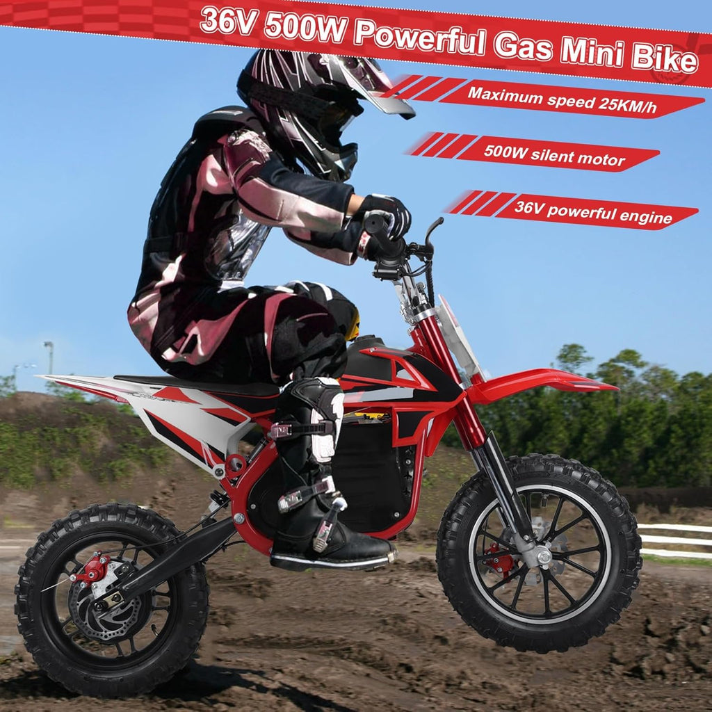 Mini Moto Cross Eletrica 36V