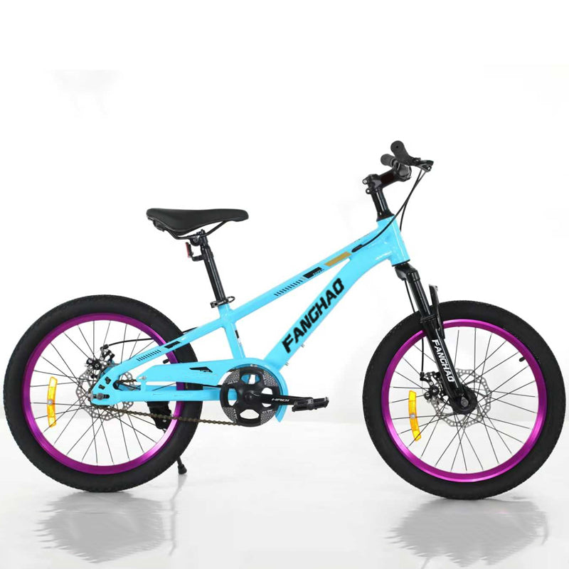 BDF-V8-22 (22" Kid Bike)