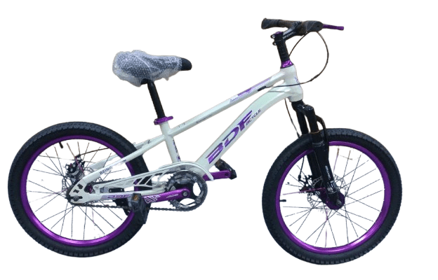 Bicycle Infantil 20 BDF Purple