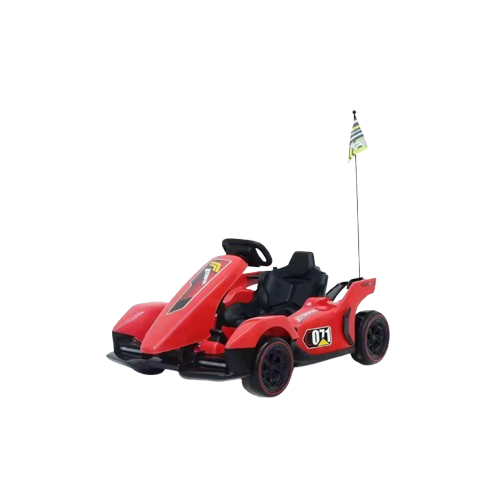 Carro Electric Racing Go Karting
